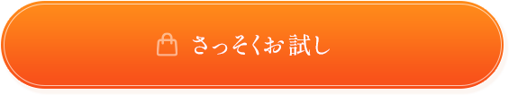 さっそくお試し