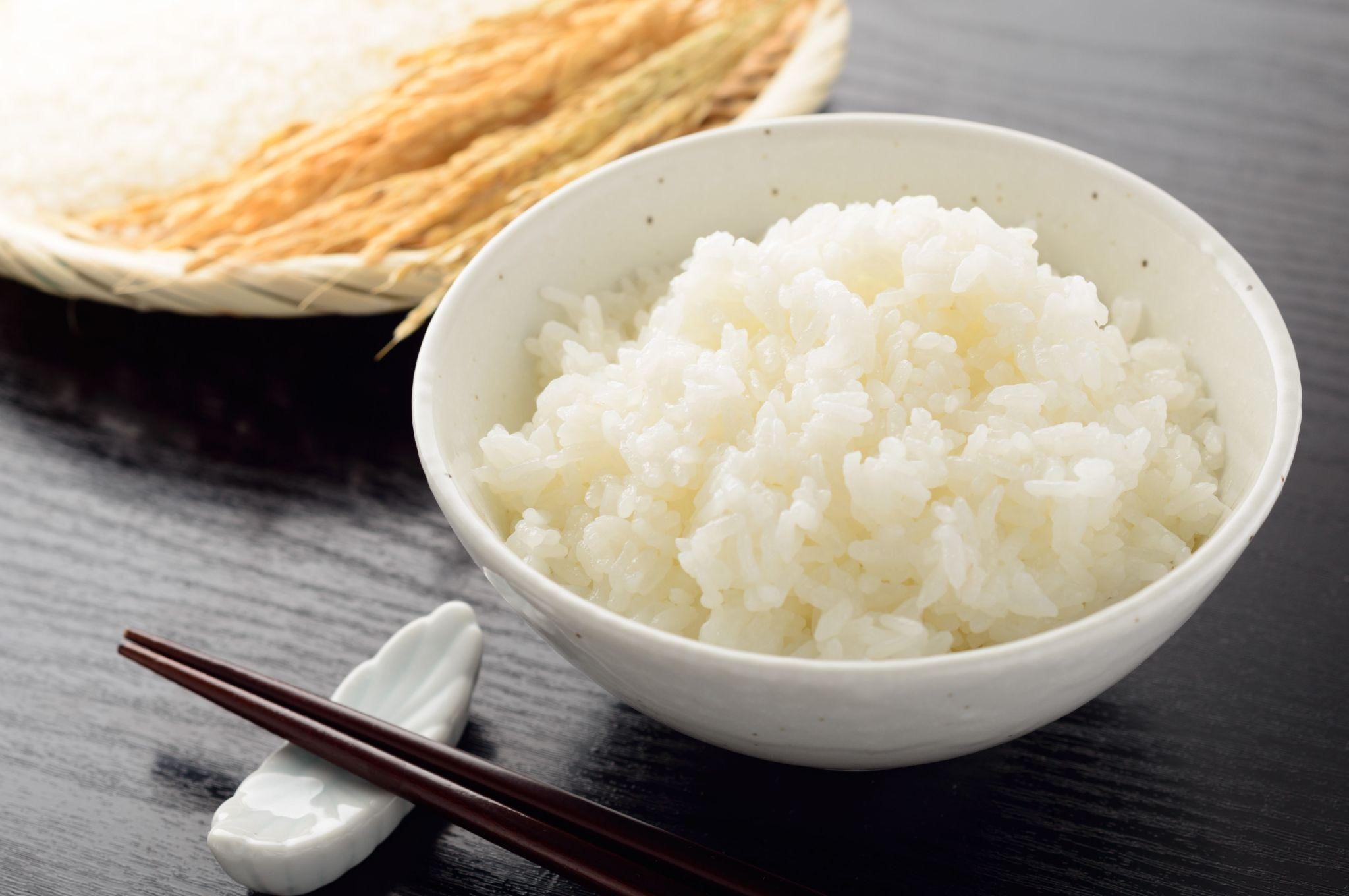 低たんぱく米を使うメリットとは？自分の生活に合わせて治療用特殊食品を活用しよう